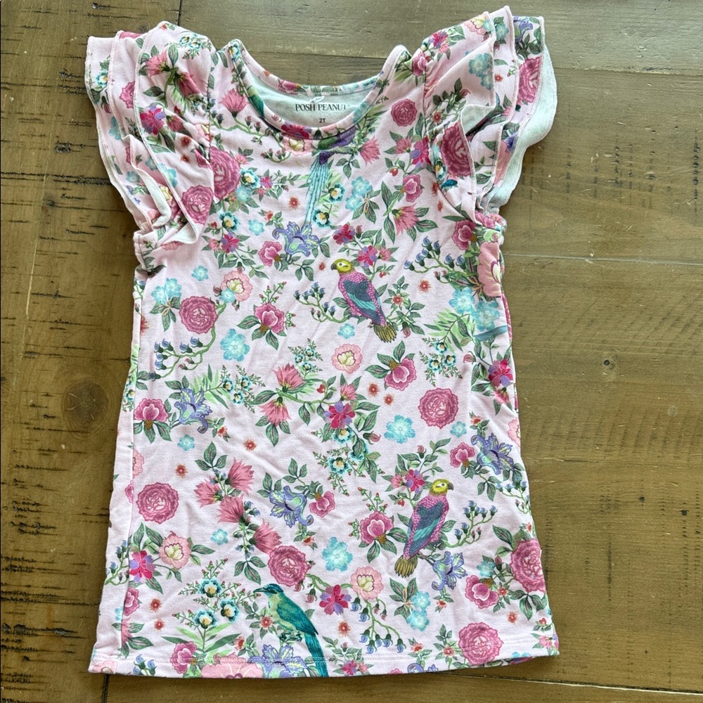Posh Peanut bamboo Multicolor Floral/birds dress 2T